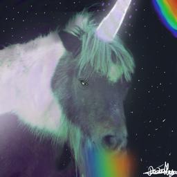 Profile picture of deadlyunicorn71